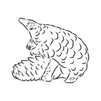 croquis de vecteur de pangolin