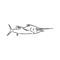 croquis de vecteur de poisson marlin