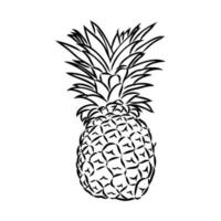 croquis de vecteur d'ananas