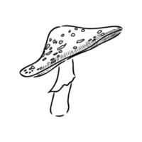 croquis de vecteur d'agaric de mouche