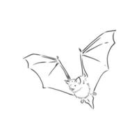 croquis de vecteur de chauve-souris