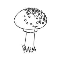 croquis de vecteur d'agaric de mouche