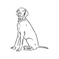 croquis de vecteur de chien pointeur