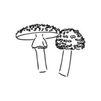 croquis de vecteur d'agaric de mouche