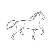 croquis de vecteur de cheval