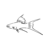 croquis de vecteur de poisson d'aquarium