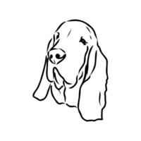 croquis de vecteur de basset hound