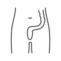 icône linéaire du rectum et de l'anus. dernier segment du gros intestin. illustration de la ligne mince. tube digestif. symbole de contour. dessin de contour isolé de vecteur