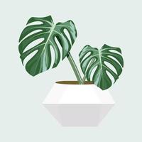 monstera sur la conception de vecteur de pot.