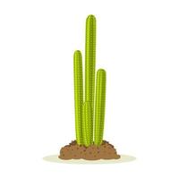 plantes de cactus dans le désert parmi le sable et le sol, le sol. conception de vecteur