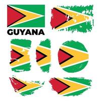 drapeau de la guyane. illustration vectorielle sur fond blanc vecteur