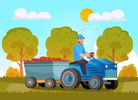 agriculteurs chargeant des pommes sur une remorque de tracteur. aliments biologiques cultivés à la ferme locale, produits de saison respectueux de l'environnement. personnes produisant et récoltant la production naturelle vecteur