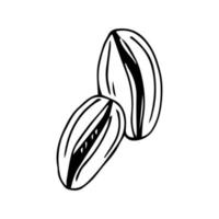conception d'icône de grains de café. icône de grains de café dans un style plat. illustration vectorielle. vecteur