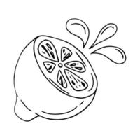 icône de griffonnage. citron. illustration vectorielle vecteur