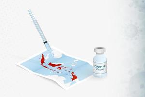 vaccination en indonésie, injection de vaccin covid-19 sur la carte de l'indonésie. vecteur