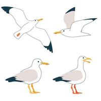 ensemble d'oiseaux de mer atlantiques de dessin animé, mouettes. style plat de vecteur