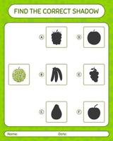 trouver le bon jeu d'ombres avec le cantaloup. feuille de travail pour les enfants d'âge préscolaire, feuille d'activité pour enfants vecteur