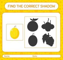 trouver le bon jeu d'ombres avec du melon miel. feuille de travail pour les enfants d'âge préscolaire, feuille d'activité pour enfants vecteur