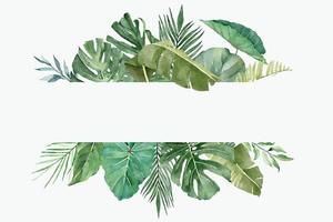 cadre aquarelle avec de belles feuilles exotiques tropicales vecteur