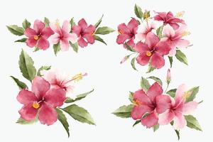 bouquets de fleurs d'hibiscus tropical aquarelle vecteur