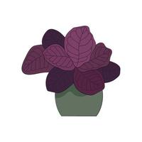 une image générée par ordinateur d'une plante à feuilles violettes dans un pot de style plat qui semble simple sur un fond blanc vecteur