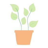 illustration d'une plante d'intérieur avec un style plat vecteur