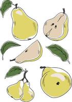 ensemble vectoriel de demi coloré, tranche et segment de poire jaune juteuse. poires fraîches de dessin animé sur fond blanc.