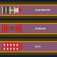 type de porc de raclage vecteur