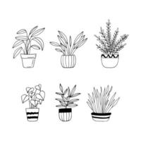 les plantes d'intérieur en pots définissent l'icône dessinée à la main. , minimalisme, scandinave, monochrome, fleurs de plantes autocollant nordique vecteur