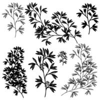 silhouette d'herbes, feuillage noir et blanc vecteur