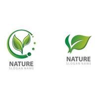 vecteur de modèle de conception de logo nature feuille