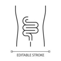 icône linéaire de l'intestin sain. organe humain en bonne santé. fonctionnement du système digestif. illustration de la ligne mince. symbole de contour. dessin de contour isolé de vecteur. trait modifiable vecteur