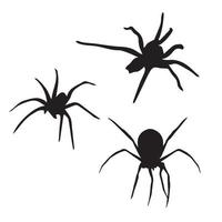 silhouette d'araignée vecteur