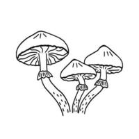 champignons au miel. illustration pour l'impression, les arrière-plans, les papiers peints, les couvertures, les emballages, les cartes de voeux, les affiches, les autocollants, le design textile et saisonnier. isolé sur fond blanc vecteur