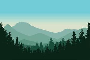 silhouette de forêt de pins de montagne