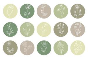 ensemble d'icônes florales, fleurs blanches de contour dans des formes rondes dans des couleurs vertes et beiges. faits saillants pour les réseaux sociaux, éléments décoratifs vecteur