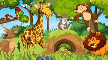 personnages de dessins animés d'animaux sauvages dans la scène de la forêt
