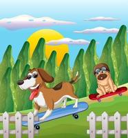 chiens beagle sur planche à roulettes au parc vecteur