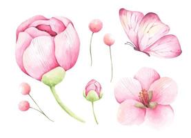 ensemble de fleurs. illustration aquarelle. vecteur