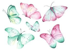 ensemble de beau papillon. illustration aquarelle. vecteur