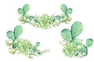 grappes florales. bouquets succulents. illustration aquarelle. vecteur