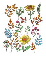collection de couleurs de doodle dessinés à la main de feuilles et de fleurs vecteur