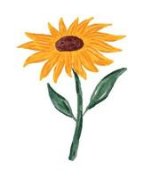 illustration aquarelle de fleur de soleil vecteur
