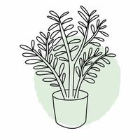 croquis vectoriel d'une plante d'intérieur. dessin à la main