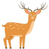 illustration vectorielle d'un cerf dans un style plat vecteur