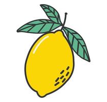 illustration vectorielle de citron fruit frais vecteur