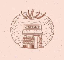 légume tomate une vitrine d'épicerie dessinant dans un style vintage sur fond de couleur pêche vecteur