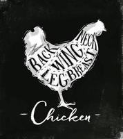 schéma de découpe de poulet affiche lettrage cou, dos, aile, poitrine, jambe dans un style vintage dessin à la craie sur fond de tableau vecteur