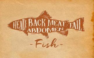 schéma de coupe de poisson affiche tête de lettrage, viande de dos, abdomen, queue dans un arrière-plan artisanal de dessin de style rétro vecteur
