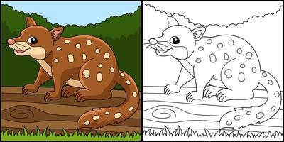 tigre quoll animal coloriage illustration vecteur